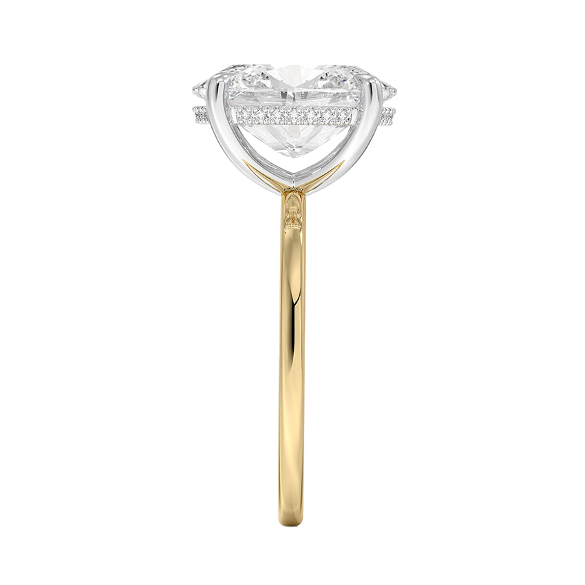 4ct Oval cut 18K Gold ring